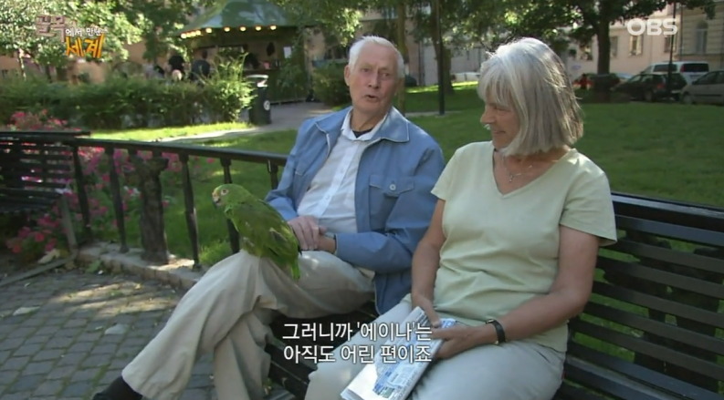 스웨덴 사람들의 평범한 일상 (개지루함 주의......) | 인스티즈