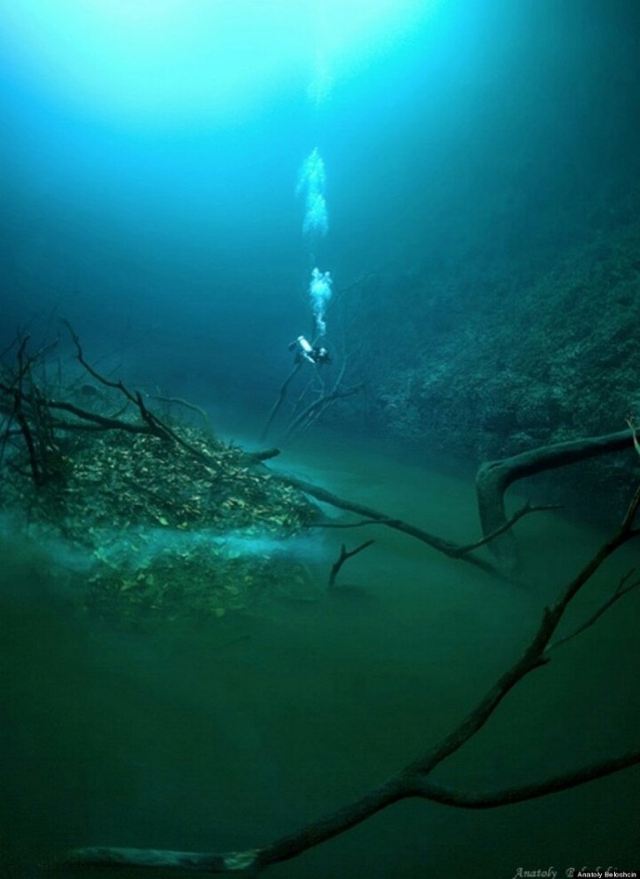 바다 밑을 흐르는 강 - 세노테 안젤리타(Cenote Angelita) | 인스티즈