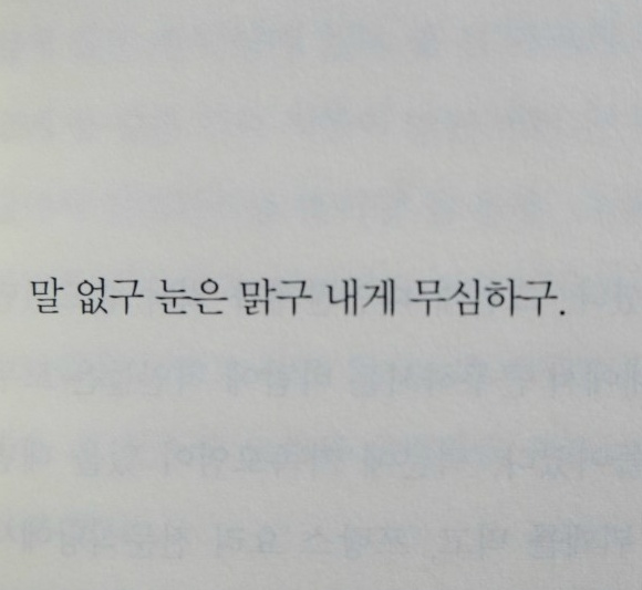 그동안 야금야금 모아온 시(詩), 글귀, 문장들 | 인스티즈