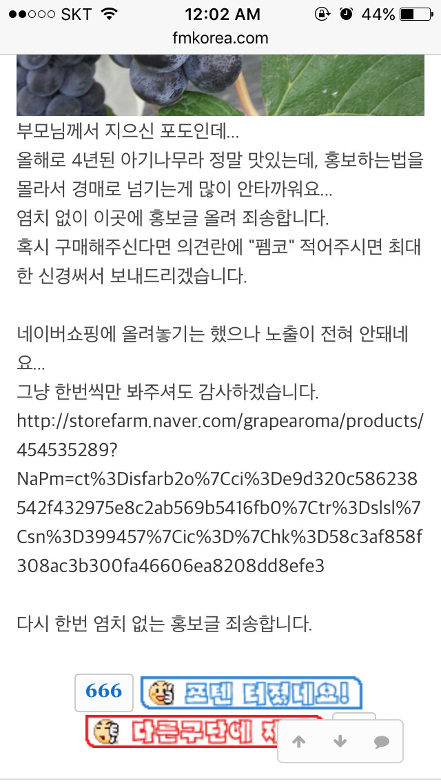 포도팔이 사기꾼 등장.jpg | 인스티즈