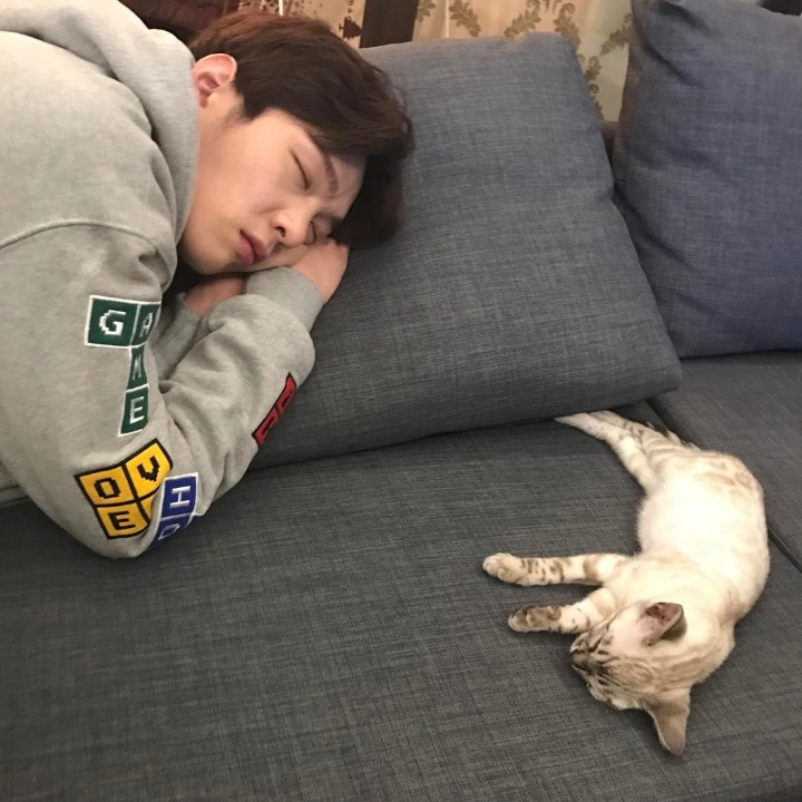 비투비 육성재의 고양이 삼이 | 인스티즈