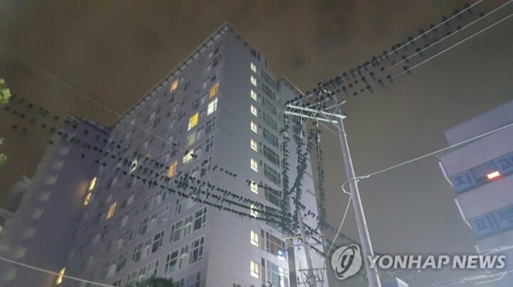 수원 까마귀 정모 시작.JPG | 인스티즈