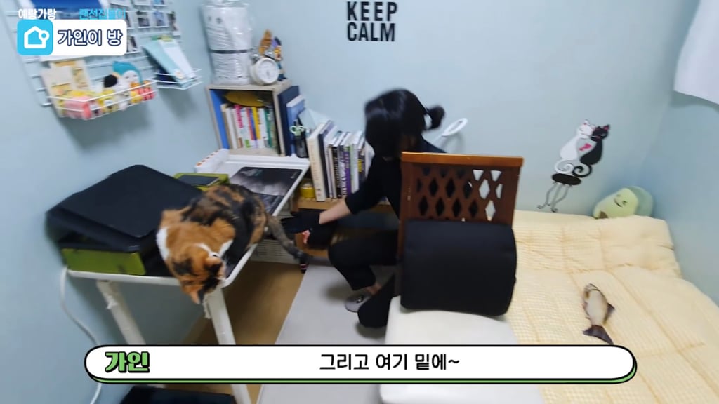 물욕 없는 가인학생이 사는법 | 인스티즈