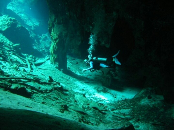 바다 밑을 흐르는 강 - 세노테 안젤리타(Cenote Angelita) | 인스티즈
