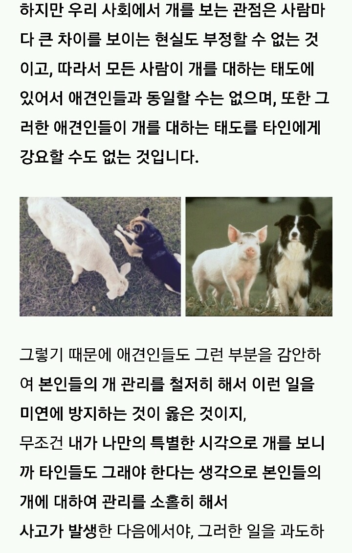 나의 반려견 매실이가 개소주가 되어 돌아온것을 알리니 사람들은 나를 개소주녀 라고 부릅니다 | 인스티즈