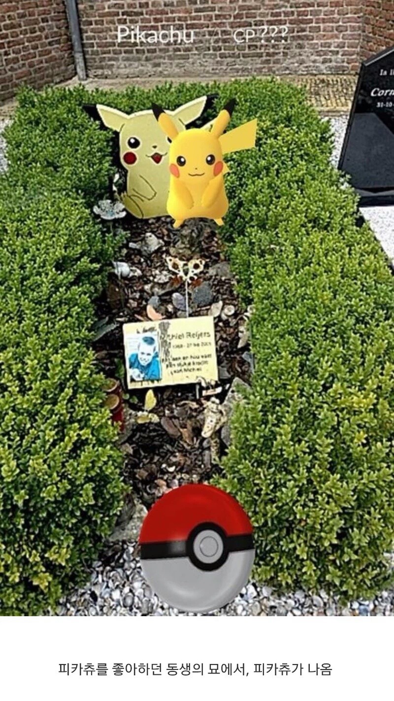 포켓몬go 피카츄 출현장소 | 인스티즈