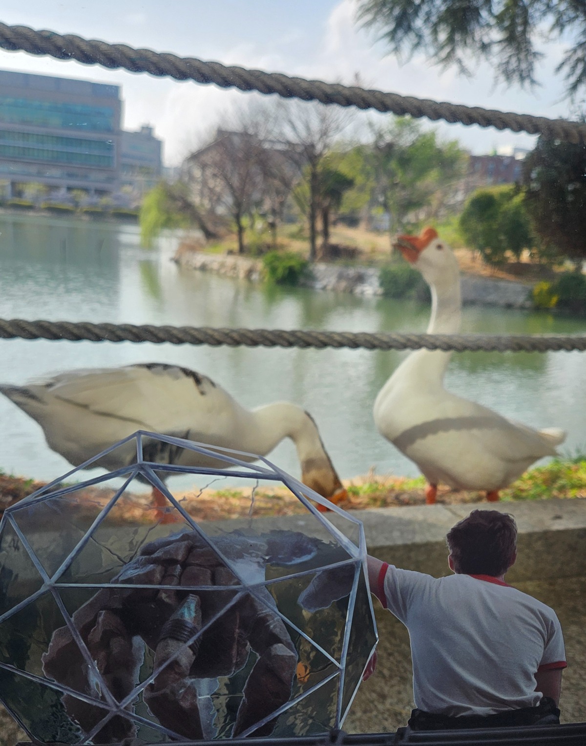 실시간 프로젝트 헤일메리 해외팬들 부러워서 울고있는 한국 굿즈 ㅅㅍ | 인스티즈