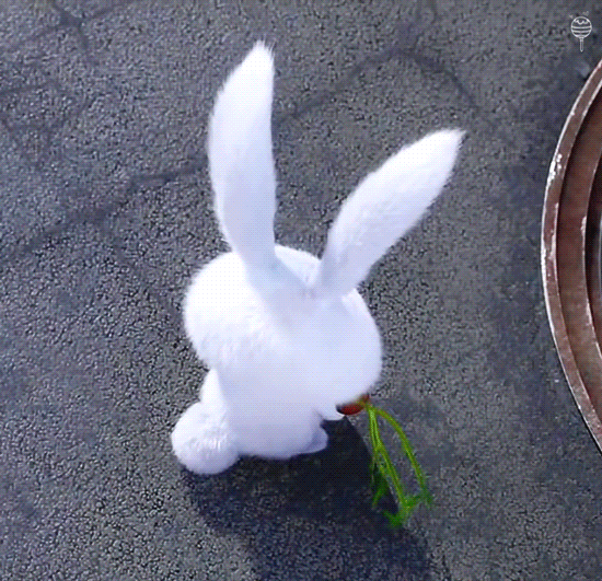 내가 파는 돌에 얘 있다 vs 없다 | 인스티즈