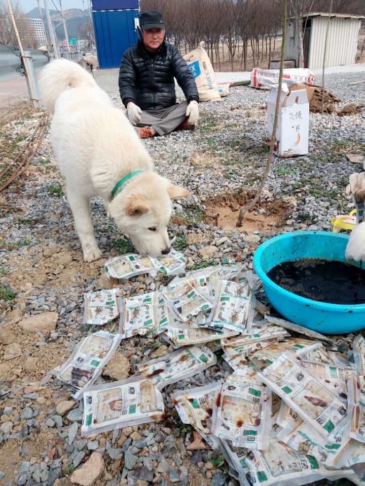 나의 반려견 매실이가 개소주가 되어 돌아온것을 알리니 사람들은 나를 개소주녀 라고 부릅니다 | 인스티즈