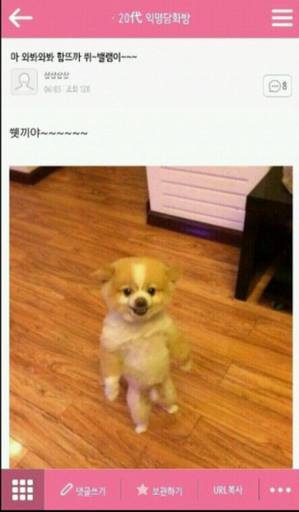 익게 레전드 모음ㅋㅋㅋㅋㅋㅋ.jpg | 인스티즈