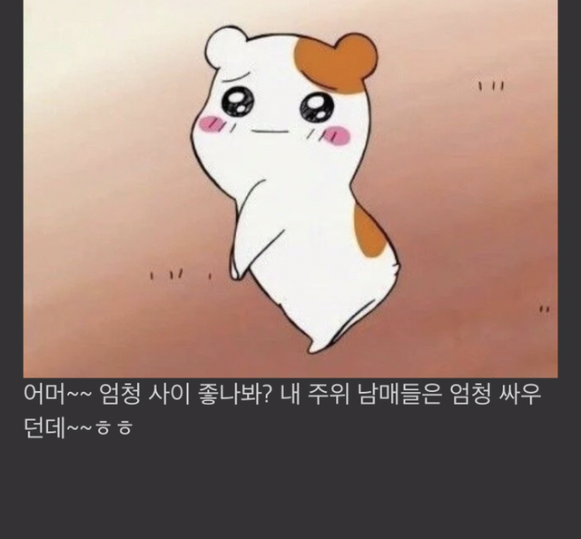 형제자매랑 진짜 안 친한 사람은 공감하는 상황 | 인스티즈
