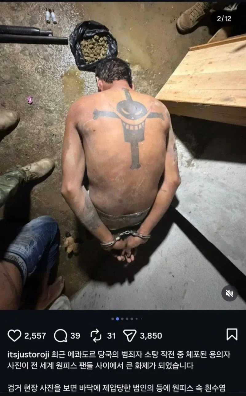 흰수염 해적당 잔당 체포 | 인스티즈