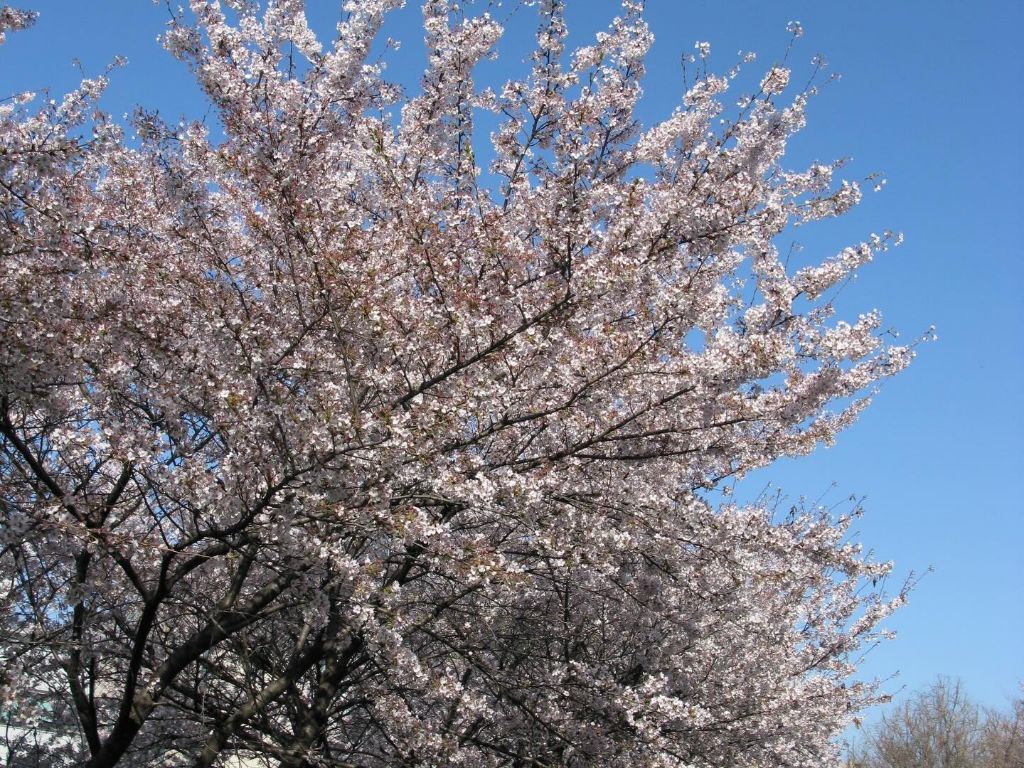 아이브(안)유진 인스타 | 인스티즈