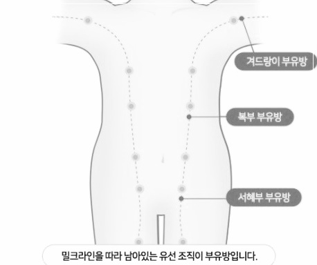 임신하고 나서 친구들 아무도 안믿었던거ㅋㅋㅋ | 인스티즈