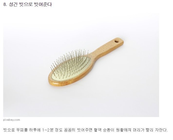 머리 빨리 기르는법 8가지 | 인스티즈