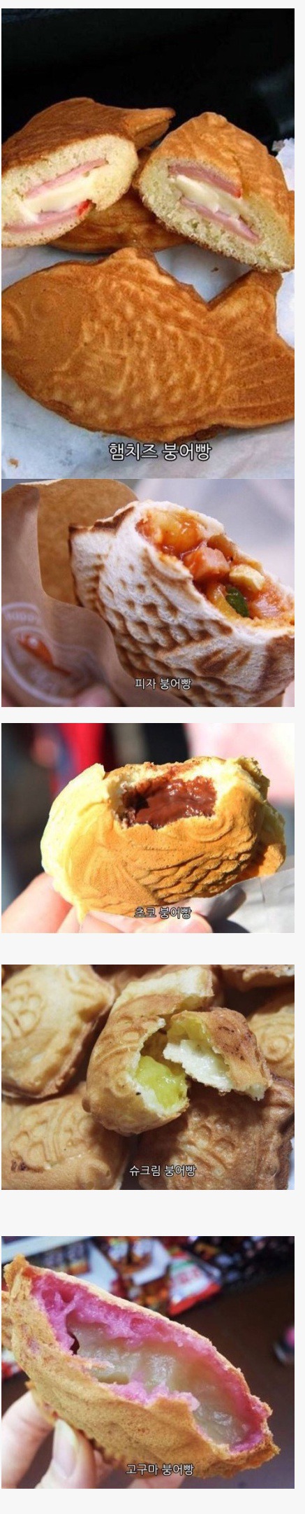 여러가지 붕어빵 | 인스티즈