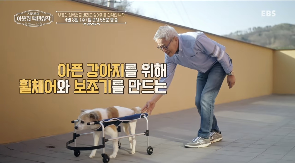 부동산 일확천금 버리고 강아지를 선택한 부자 | 인스티즈