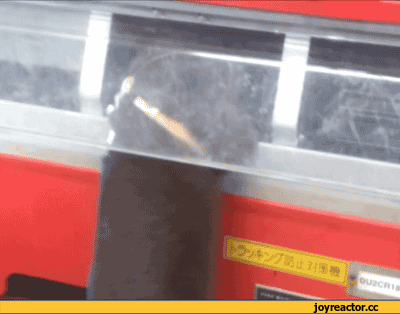 생년월일로 보는 미래배우자.JPG | 인스티즈