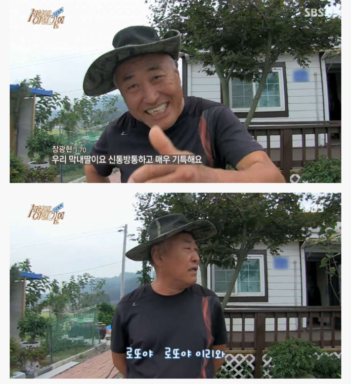 신기한 강아지 | 인스티즈