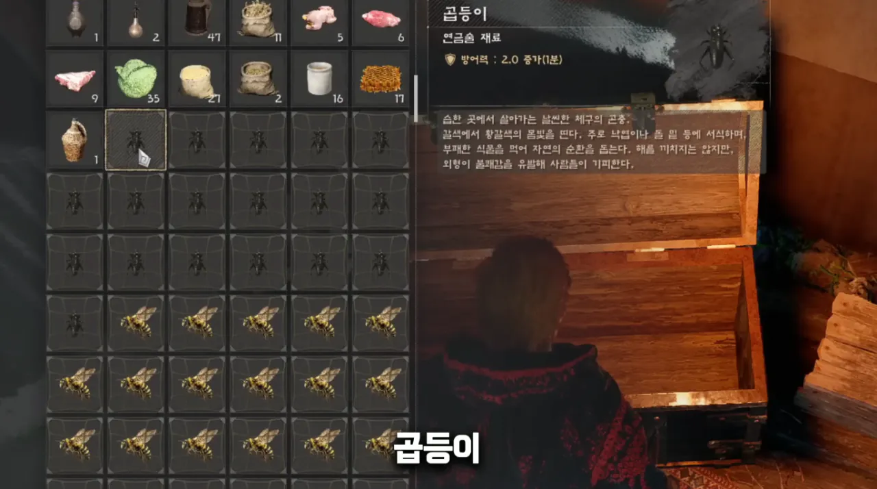붉은사막 새 직업 '벌레술사' 등장 | 인스티즈