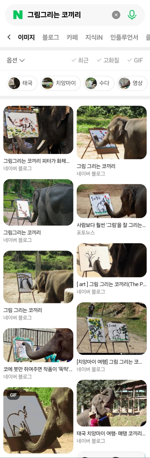 그림그리는 천재 코끼리.gif | 인스티즈