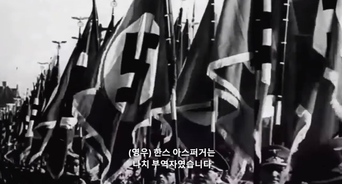 [우영우] 자폐를 최초로 연구한 사람 중에 하나인 한스 아스퍼거는 나치 부역자였습니다 | 인스티즈