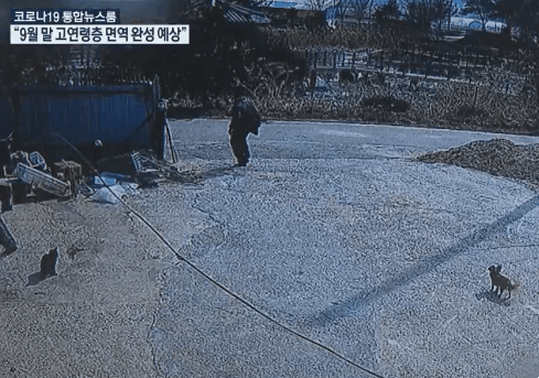 보이스피싱 당한 시어머니…며느리가 추격전 벌여 검거 | 인스티즈