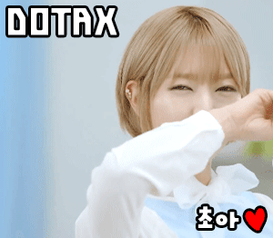 시바견 키우고 싶어지는 사진 | 인스티즈