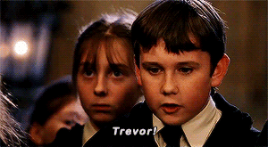 [해리포터] 진정한 그리핀도르 '네빌 롱바텀' 이야기 | 인스티즈