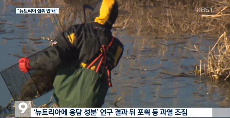 생태교란종 뉴트리아에서 웅담 성분이 나왔다는 발표 이후 | 인스티즈