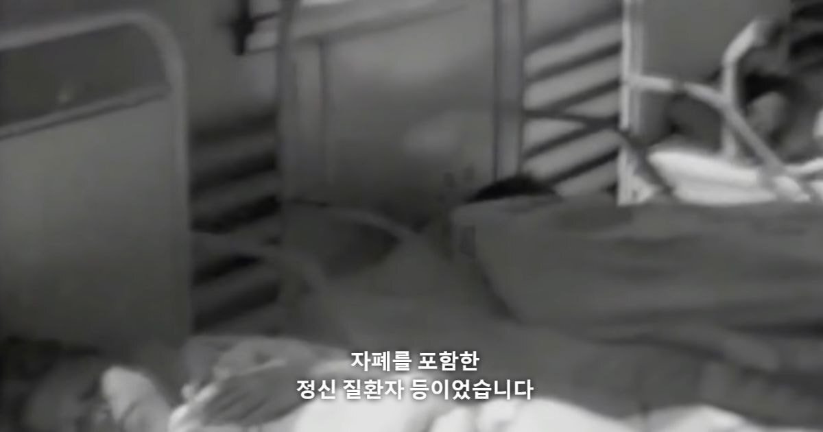 [우영우] 자폐를 최초로 연구한 사람 중에 하나인 한스 아스퍼거는 나치 부역자였습니다 | 인스티즈