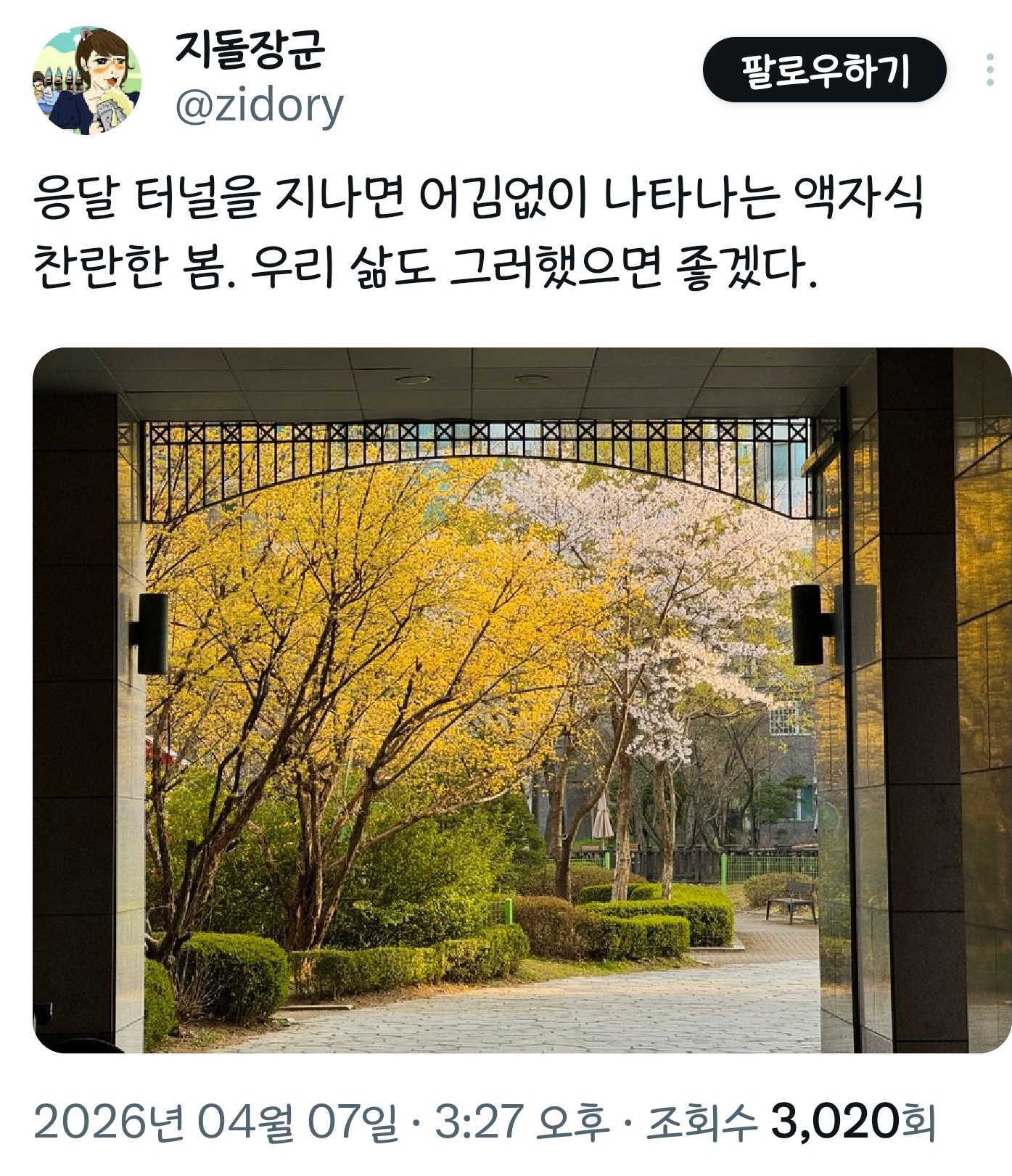 봄이니까☺️ 올려보는 X(트위터) 모음🌸 | 인스티즈