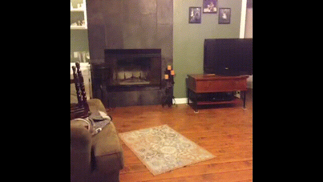 유연한사람만 되는 춤 | 인스티즈