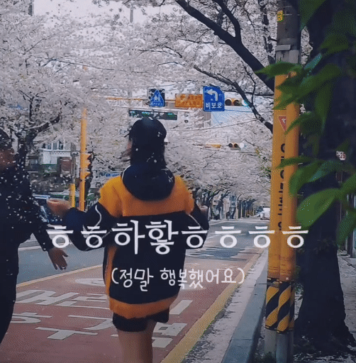 혼자 벚꽃놀이 주의하세요 | 인스티즈