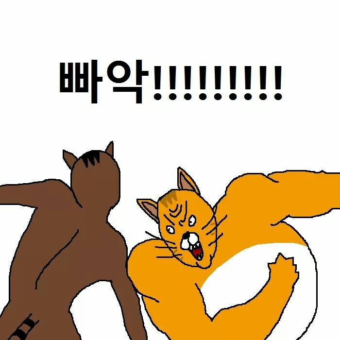 상남자 고양이가 아들 교육하는 만화 | 인스티즈