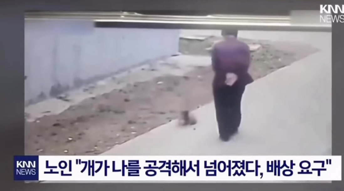 강아지 발로차려다 넘어진 노인(중국임) | 인스티즈