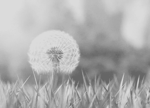  그대 귓가에 닿지 못한 한 마디 말 | 인스티즈