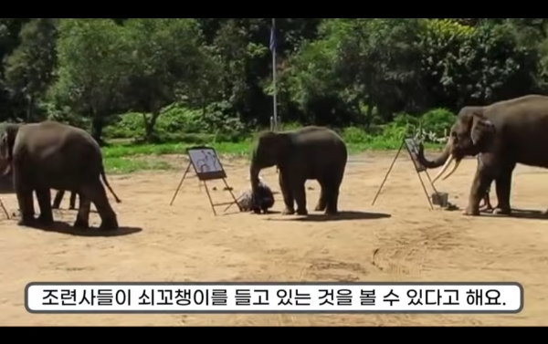 그림그리는 천재 코끼리.gif | 인스티즈