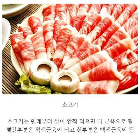 다이어트 꿀팁 | 인스티즈