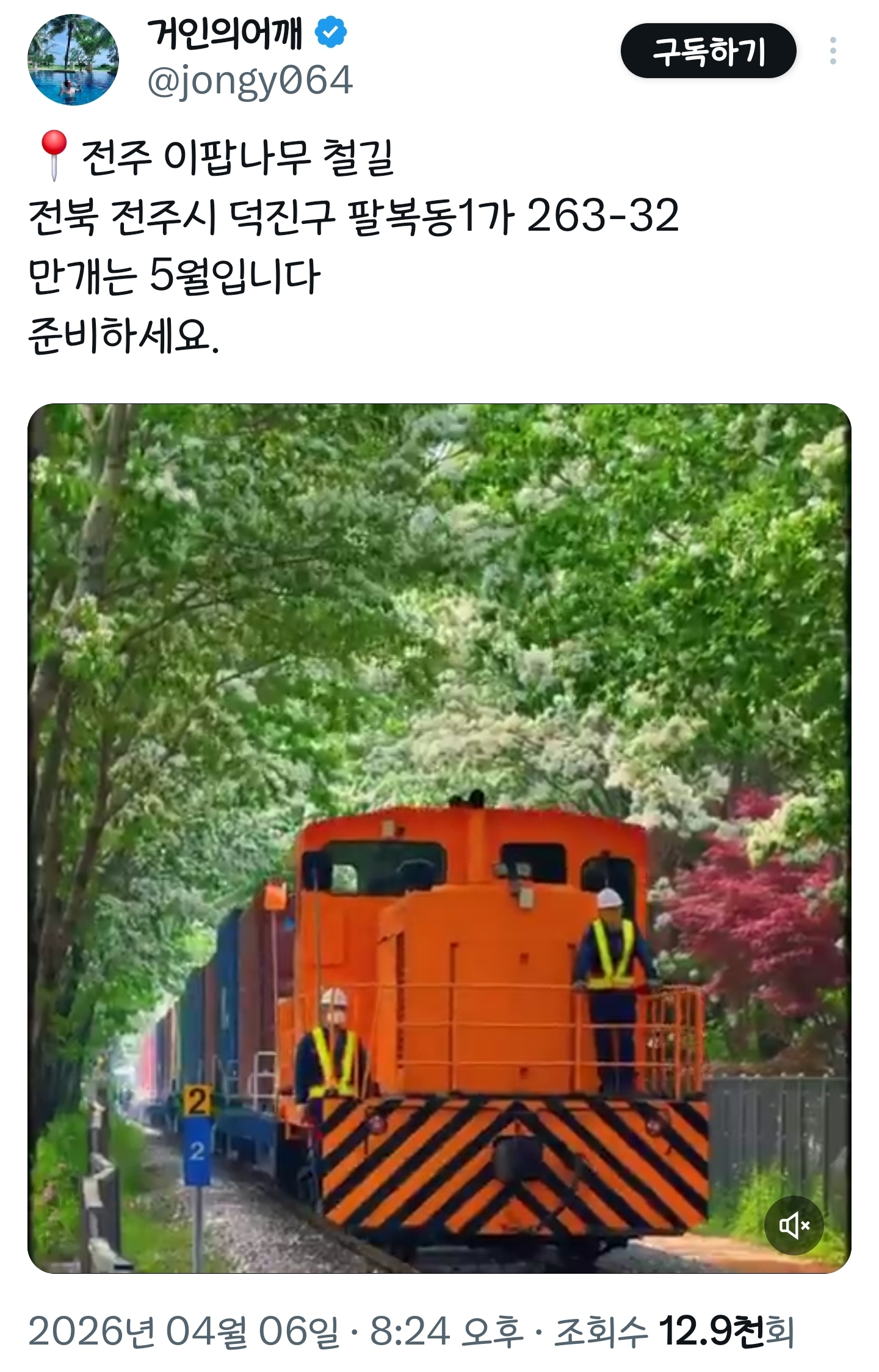 봄이니까☺️ 올려보는 X(트위터) 모음🌸 | 인스티즈