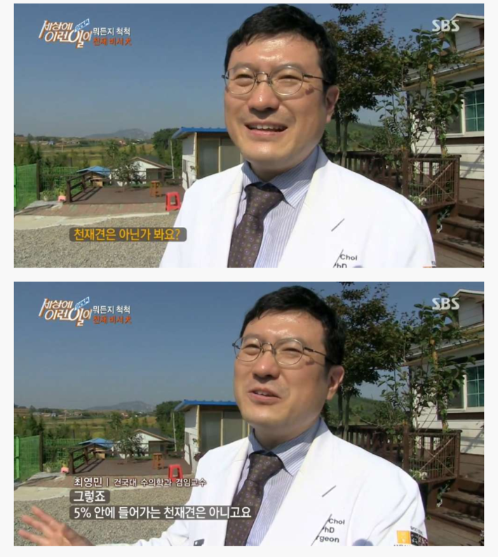 신기한 강아지 | 인스티즈