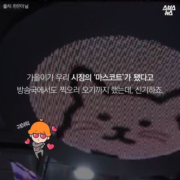  생선 싫어하는 생선 가게 고양이 | 인스티즈