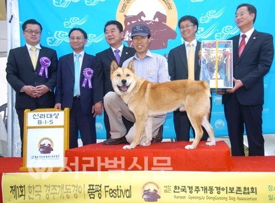 재수없게생겼다고 일본이 대량 학살한 우리나라 토종개 동경이(댕견) | 인스티즈