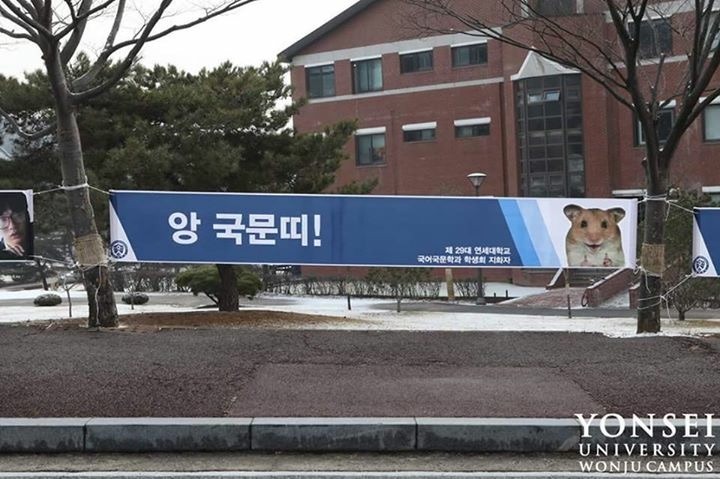 연대생들의 신입생을 맞이하는법 | 인스티즈