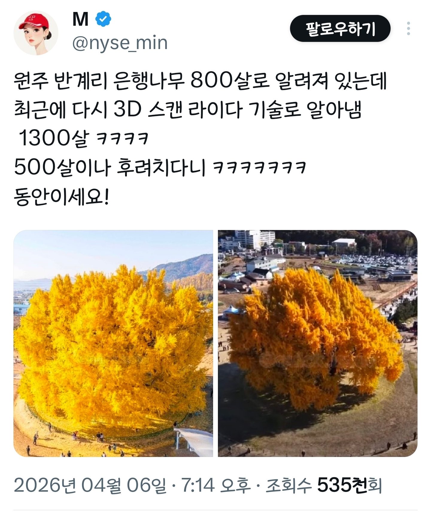 봄이니까☺️ 올려보는 X(트위터) 모음🌸 | 인스티즈
