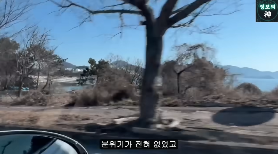 여수섬박람회가 잼버리 냄새 나는 이유 | 인스티즈