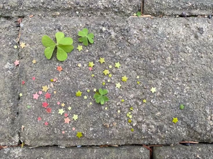 낭만이 왔나 봄 | 인스티즈