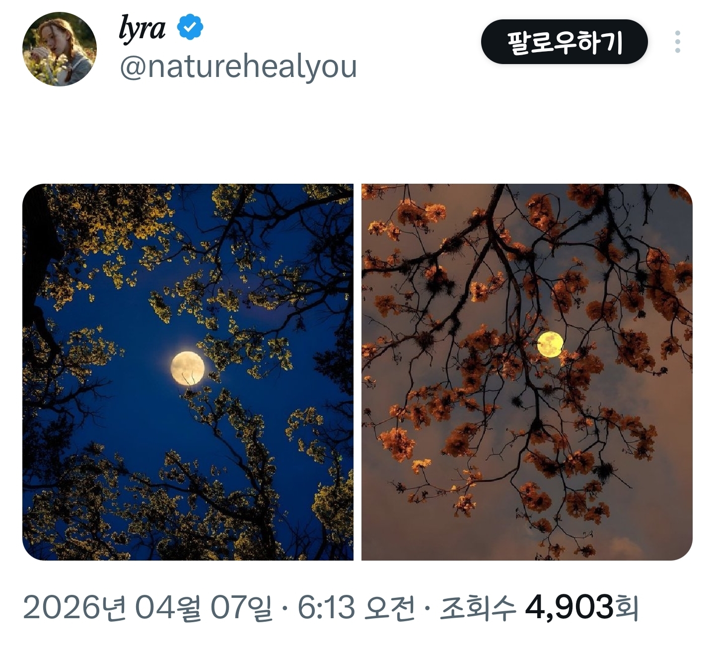 봄이니까☺️ 올려보는 X(트위터) 모음🌸 | 인스티즈