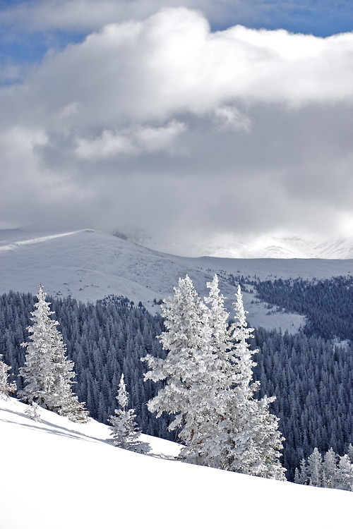 지친 당신을 위로해주는 사진.jpg | 인스티즈
