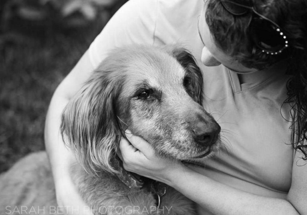 반려동물을 키우는 나에게 신께서 찾아오셨다 | 인스티즈